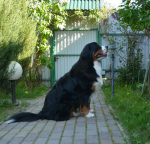 2 years 5