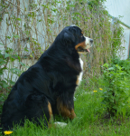2 years 7