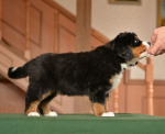 6 weeks 2