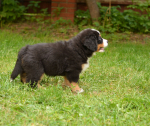 7 weeks 3
