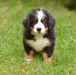 7 weeks 5