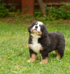 7 weeks 6