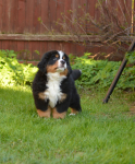 9 weeks 1