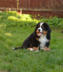 9 weeks 8