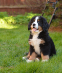 9 weeks 5