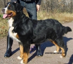 Val Dea Freya iz Bolshogo Doma Val Dea Freya iz Bolshogo Doma