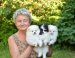 2_mon_small.jpg 2_mon_small.jpg