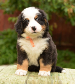 6_weeks_2.jpg