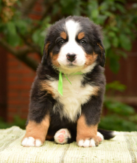 6_weeks_2.jpg