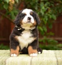 6_weeks_2.jpg