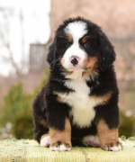 7_weeks.jpg 7_weeks.jpg