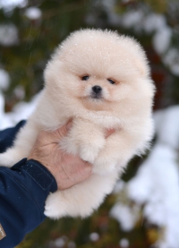 7_weeks_1.jpg