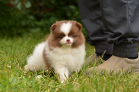 7_weeks_1.jpg