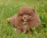 7_weeks.jpg 7_weeks.jpg