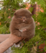 7_weeks.jpg