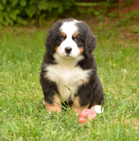 7_weeks_3.jpg