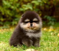 7_weeks_7.jpg 7_weeks_7.jpg
