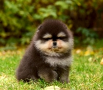 7_weeks_7.jpg 7_weeks_7.jpg