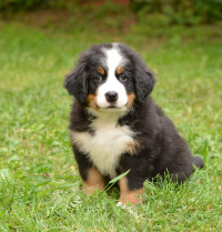 7_weeks_7.jpg
