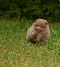7_weeks_8_1.jpg