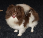 982761803_7.jpg