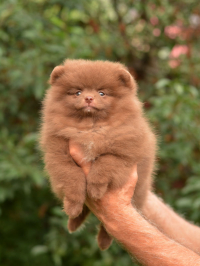 9_weeks_8.jpg