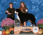 casey_show_picture_0761.jpg casey_show_picture_0761.jpg