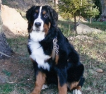 chehov_small.jpg chehov_small.jpg