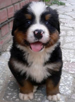 doris_6weeks.jpg doris_6weeks.jpg
