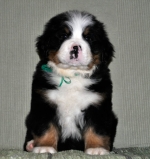 k2_7weeks.jpg k2_7weeks.jpg