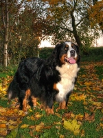laura-vom-alten-garten-eden.jpg laura-vom-alten-garten-eden.jpg