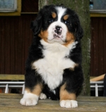 lorenc_44days_1.jpg lorenc_44days_1.jpg