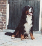 Pascha von Gabiar Pascha von Gabiar