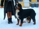 quinta-stands-3.jpg quinta-stands-3.jpg