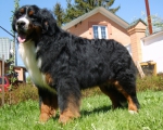 s8008024.jpg s8008024.jpg